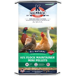 Kalmbach Feeds All Natural 16% Protein Flock Maintainer Pellet Poultry Feed, 50-lb bag