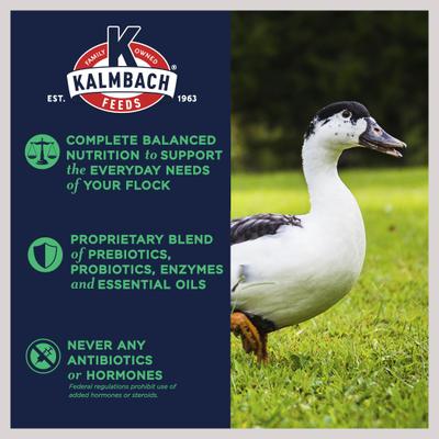 Show full view: Kalmbach Feeds All Natural 16% Protein Flock Maintainer Pellet Poultry Feed, 50-lb bag slide 3 of 7