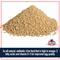 Show in main carousel: Kalmbach Feeds All Natural 17% Protein Hi Omegga Layer Crumbles Chicken Feed, 50-lb bag slide 4 of 11