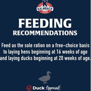 Kalmbach Feeds All Natural 17% Protein Layer Crumbles Poultry Feed, 50-lb bag