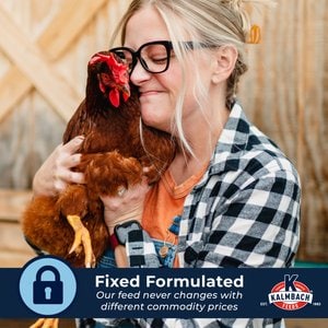 Kalmbach Feeds All Natural 17% Protein Layer Crumbles Poultry Feed, 50-lb bag
