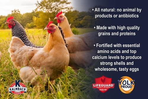 Show full view: Kalmbach Feeds All Natural 17% Protein Layer Pellets Chicken Feed, 10-lb bag slide 4 of 10