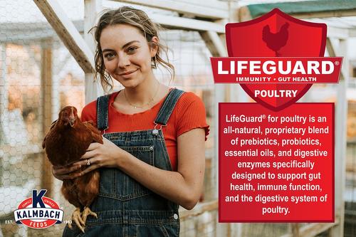 Show full view: Kalmbach Feeds All Natural 17% Protein Layer Pellets Chicken Feed, 10-lb bag slide 6 of 10