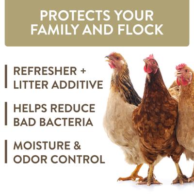 Show full view: Kalmbach Feeds All Natural 17% Protein Layer Pellets Chicken Feed, 50-lb bag + FlockLeader Healthy Coop Poultry Supplement, 12-lb bag slide 6 of 7