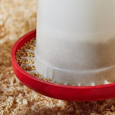 Show full view: Kalmbach Feeds All Natural 17% Protein Layer Pellets Chicken Feed, 50-lb bag slide 3 of 8