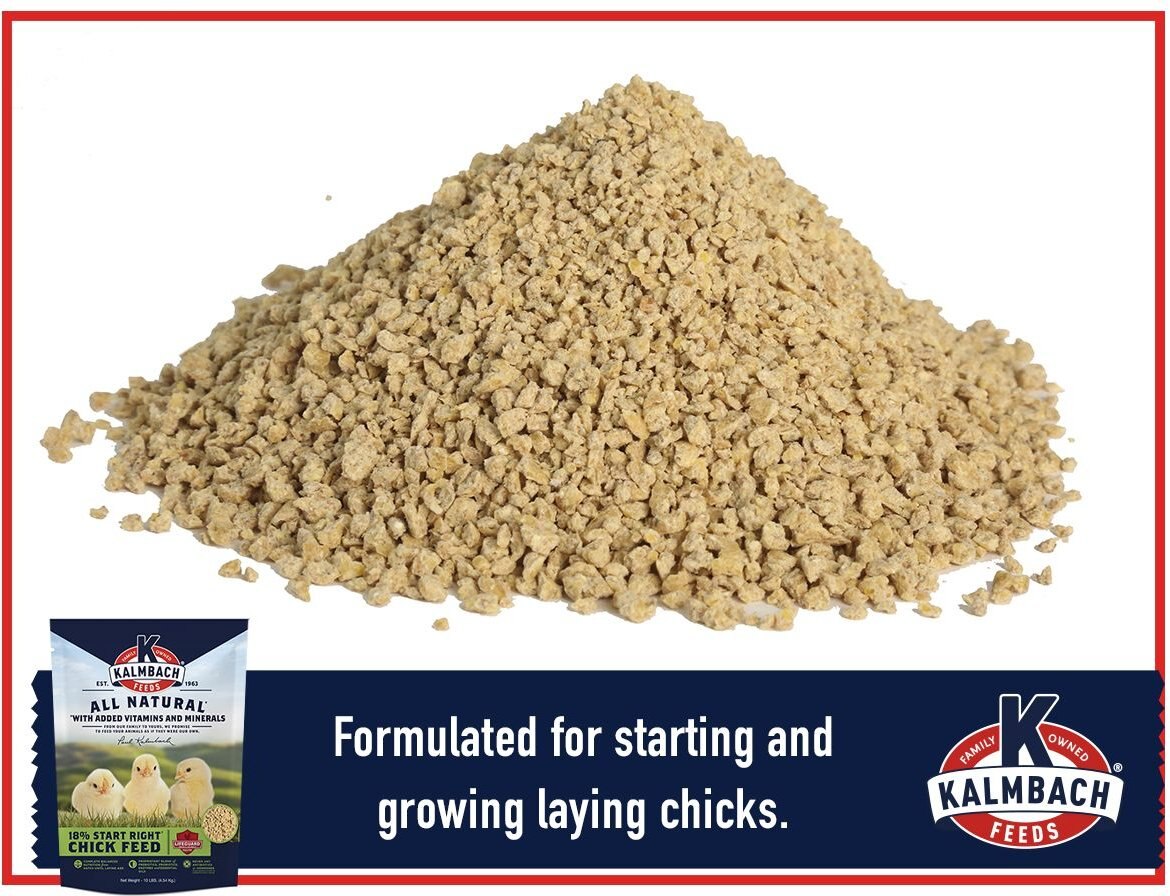 KALMBACH FEEDS All Natural 18 Protein Start Right Chick Feed, 10lb