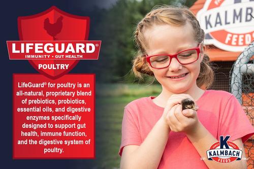 Show full view: Kalmbach Feeds All Natural 18% Protein Start Right Chick Feed, 10-lb bag slide 5 of 8