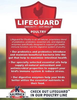 Show full view: Kalmbach Feeds All Natural 18% Protein Start Right Chick Feed, 25-lb bag slide 4 of 6