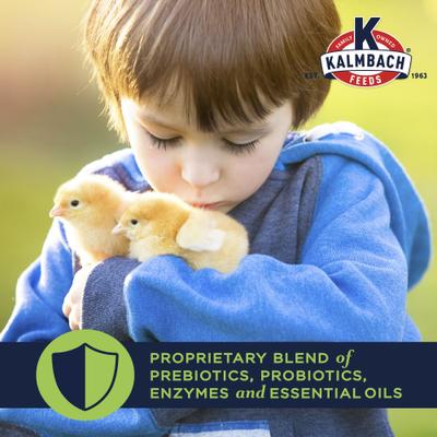 Show full view: Kalmbach Feeds All Natural 18% Protein Start Right Chick Feed, 50-lb bag slide 5 of 10