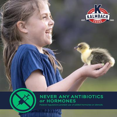 Show full view: Kalmbach Feeds All Natural 20% Protein Flock Maker Crumbles Chicken Feed, 50-lb bag slide 5 of 11