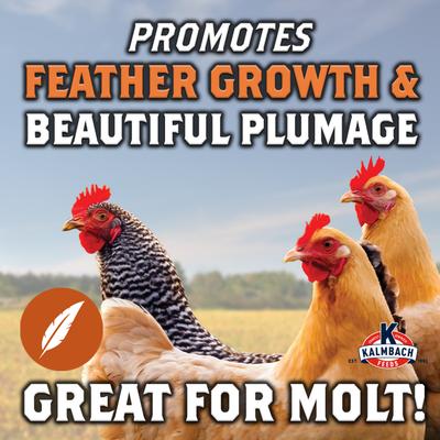 Show full view: Kalmbach Feeds All Natural 20% Protein Full Plume Feathering Chicken Feed, 50-lb bag slide 5 of 11