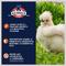 Show in main carousel: Kalmbach Feeds All Natural 20% Protein Full Plume Feathering Chicken Feed, 50-lb bag slide 4 of 10