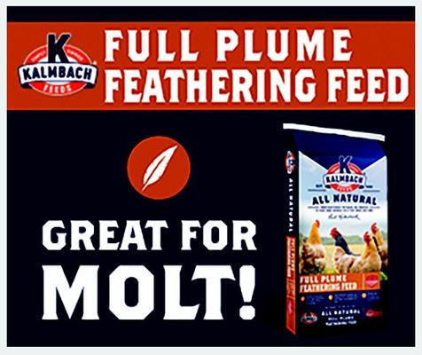 Show full view: Kalmbach Feeds All Natural 20% Protein Full Plume Feathering Chicken Feed, 50-lb bag slide 6 of 10