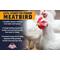 Show in main carousel: Kalmbach Feeds All Natural 22% Protein Start-To-Finish Meatbird Crumbles Chicken Feed, 10-lb bag slide 4 of 8
