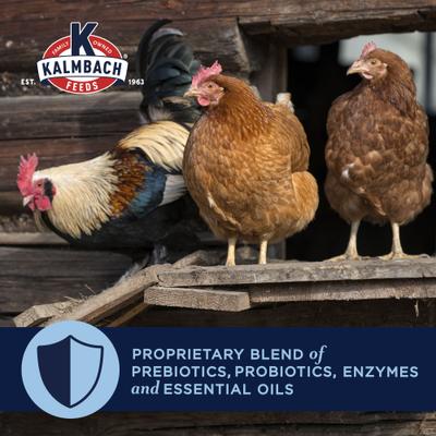 Show full view: Kalmbach Feeds All Natural 9% Protein Chicken Treat, 25-lb block slide 2 of 10