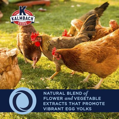 Show full view: Kalmbach Feeds All Natural 9% Protein Chicken Treat, 25-lb block slide 3 of 10