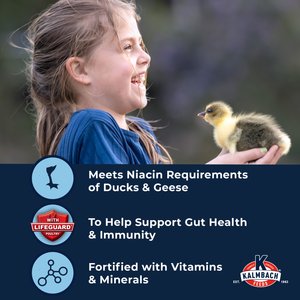 Kalmbach Feeds All Natural Duck & Goose Feed, 50-lb bag