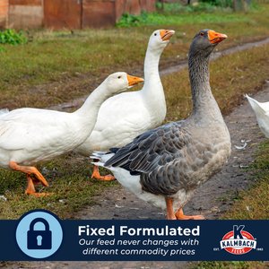 Kalmbach Feeds All Natural Duck & Goose Feed, 50-lb bag
