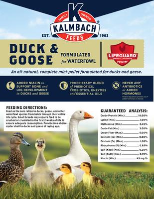 Show full view: Kalmbach Feeds All Natural Duck & Goose Feed, 10-lb bag slide 5 of 7