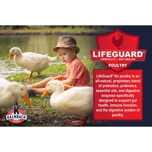 Kalmbach Feeds All Natural Duck & Goose Feed, 50-lb bag