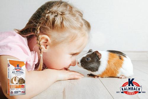 Show full view: Kalmbach Feeds All Natural Guinea Pig Select Food, 50-lb bag slide 4 of 6