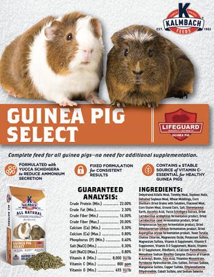Show full view: Kalmbach Feeds All Natural Guinea Pig Select Food, 50-lb bag slide 5 of 6