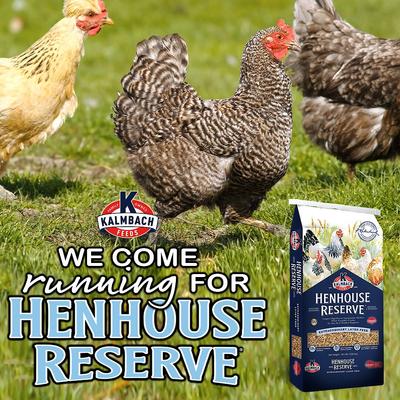 Show full view: Kalmbach Feeds All Natural Henhouse Reserve 17% Protein Premium Layer Chicken Feed, 50-lb bag slide 5 of 9