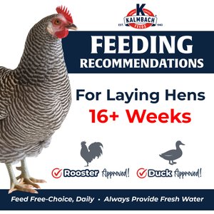 Kalmbach Feeds All Natural Henhouse Reserve 18% Protein Extraordinary Layer Poultry Feed, 30-lb bag