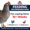 Show in main carousel: Kalmbach Feeds All Natural Henhouse Reserve 18% Protein Extraordinary Layer Poultry Feed, 50-lb bag slide 7 of 9