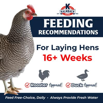 Show full view: Kalmbach Feeds All Natural Henhouse Reserve 18% Protein Extraordinary Layer Poultry Feed, 50-lb bag slide 7 of 9