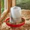 Show in main carousel: Kalmbach Feeds All Natural Henhouse Reserve Premium Layer Chicken Feed, 30-lb bag, 2 count slide 4 of 6