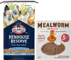 Kalmbach Feeds All Natural Henhouse Reserve Premium Layer Chicken Feed, 30-lb bag + Flock Fest Dried Mealworms Adult Poultry Treats, 5-lb bag
