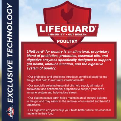 Show full view: Kalmbach Feeds All Natural Non-GMO 16% Protein Flock Maintainer Poultry Feed, 50-lb bag slide 6 of 9