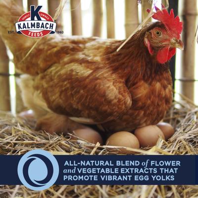 Show full view: Kalmbach Feeds All Natural Non-GMO 17% Protein Layer Crumbles Chicken Feed, 50-lb bag slide 5 of 11