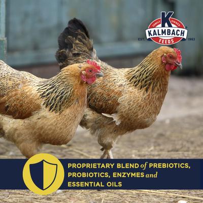 Show full view: Kalmbach Feeds All Natural Non-GMO 17% Protein Layer Pellets Chicken Feed, 50-lb bag slide 5 of 11