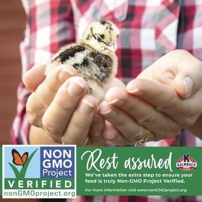 Show full view: Kalmbach Feeds All Natural Non-GMO 18% Protein Start Right Chick Feed, 50-lb bag slide 7 of 11