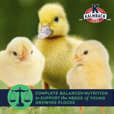 Show full view: Kalmbach Feeds All Natural Non-GMO 20% Protein Flock Maker Crumbles Chicken Feed, 50-lb bag slide 5 of 11