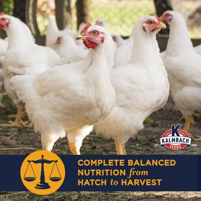 Show full view: Kalmbach Feeds All Natural Non-GMO 22% Protein Start to Finish Meatbird Crumbles Poultry Feed, 50-lb bag slide 4 of 11