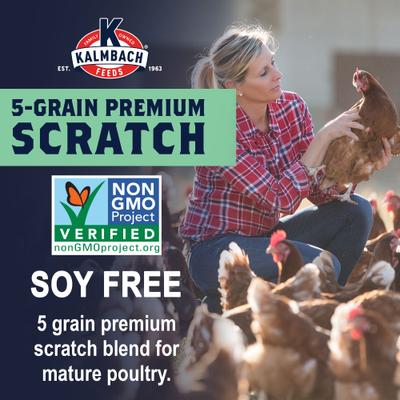 Show full view: Kalmbach Feeds All Natural Non-GMO, Soy Free 5 Grain Premium Scratch Chicken Feed, 50-lb bag, bundle of 2 slide 5 of 8