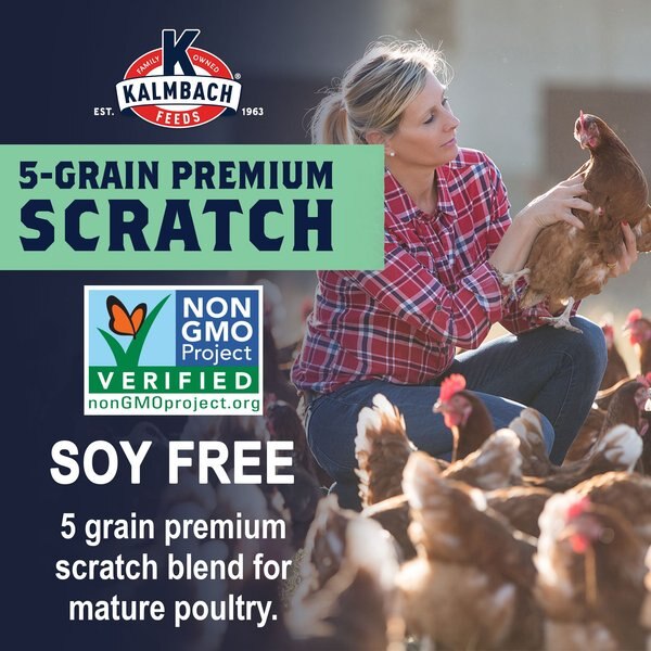 Kalmbach Feeds All Natural Non-GMO, Soy Free 5 Grain Premium Scratch Chicken Feed