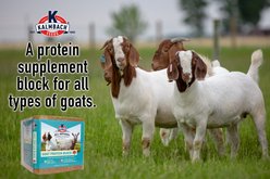 Kalmbach Feeds All Natural Protein Goat Supplement, 25-lb block slide 2 of 5
