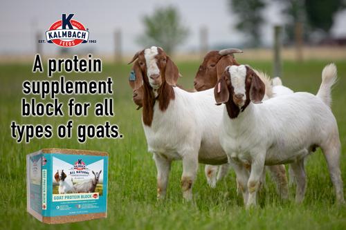 Show full view: Kalmbach Feeds All Natural Protein Goat Supplement, 25-lb block slide 2 of 5