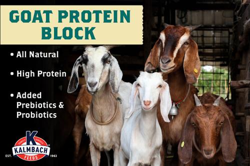 Show full view: Kalmbach Feeds All Natural Protein Goat Supplement, 25-lb block slide 3 of 5