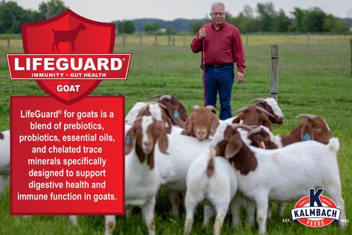 Show full view: Kalmbach Feeds All Natural Protein Goat Supplement, 25-lb block slide 4 of 5