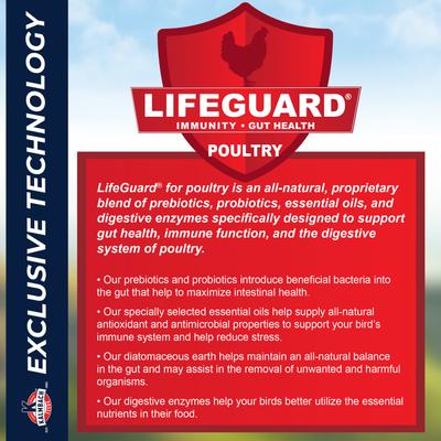 Show full view: Kalmbach Feeds All Natural Soy-Free 17% Protein Layer Crumbles Poultry Feed, 50-lb bag slide 7 of 9