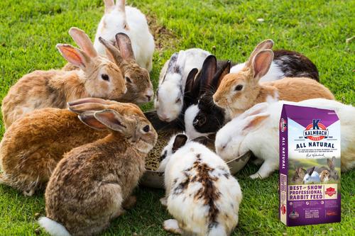 Show full view: Kalmbach Feeds Best in Show 16% Professional Rabbit Feed, 50-lb bag slide 3 of 7