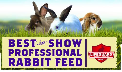 Show full view: Kalmbach Feeds Best in Show 16% Professional Rabbit Feed, 50-lb bag slide 4 of 7