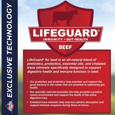 Show full view: Kalmbach Feeds Finish Right Opti-Gain Growing & Finishing Cattle Feed, 50-lb bag slide 5 of 7