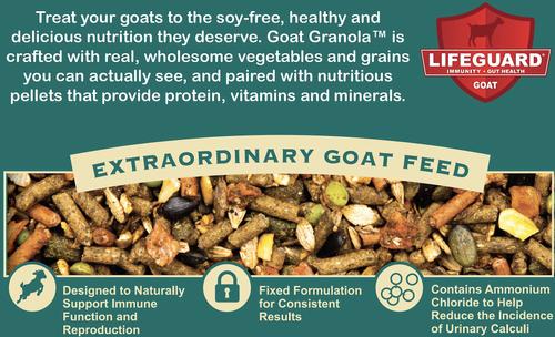 Show full view: Kalmbach Feeds Granola Goat Feed, 30-lb bag slide 6 of 7