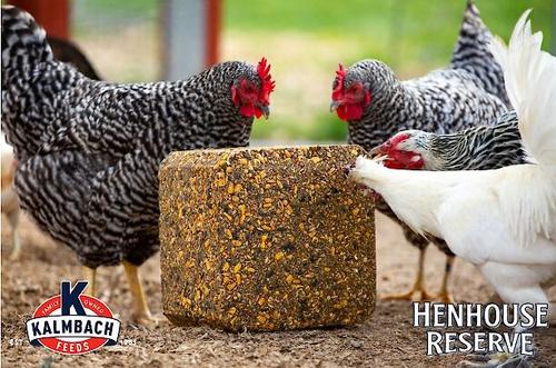 Show full view: Kalmbach Feeds Henhouse Reserve Poultry Supplement, 20-lb block slide 2 of 5
